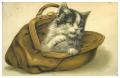 Postcard: [Fluffy Cat in a Handbag]