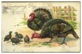 Postcard: [Thanksgiving Day Postcard]