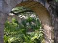 Photograph: Grounds of the Alamo through an archway