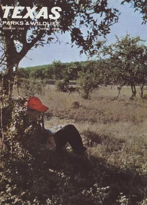 Primary view of object titled 'Texas Parks & Wildlife, Volume 23, Number 12, December 1965'.