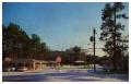 Primary view of [The Pines Motel]