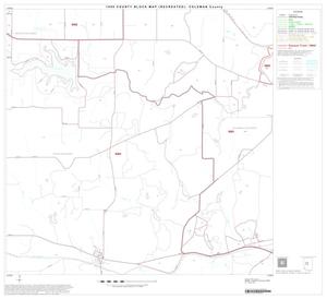 Primary view of object titled '1990 Census County Block Map (Recreated): Coleman County, Block 10'.