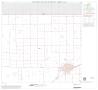 Primary view of 1990 Census County Block Map (Recreated): Parmer County, Block 2