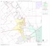 Map: 2000 Census County Block Map: Guadalupe County, Block 10