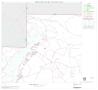 Map: 2000 Census County Block Map: Palo Pinto County, Block 2