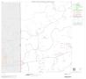 Map: 2000 Census County Block Map: Blanco County, Block 4