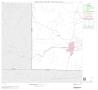 Map: 2000 Census County Block Map: Palo Pinto County, Block 13