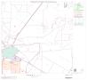 Map: 2000 Census County Block Map: San Patricio County, Block 9