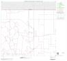 Primary view of 2000 Census County Block Map: Childress County, Block 2