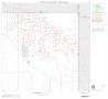 Thumbnail image of item number 1 in: '2000 Census County Block Map: Carson County, Block 4'.