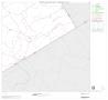 Primary view of 2000 Census County Block Map: Hamilton County, Block 11