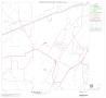 Map: 2000 Census County Block Map: Parker County, Block 17