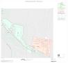 Map: 2000 Census County Block Map: Starr County, Inset B04
