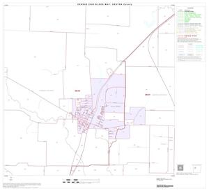 Primary view of object titled '2000 Census County Block Map: Denton County, Block 19'.