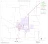 Thumbnail image of item number 1 in: '2000 Census County Block Map: Denton County, Block 19'.