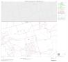 Map: 2000 Census County Block Map: Andrews County, Block 5
