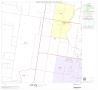 Map: 2000 Census County Block Map: Hidalgo County, Block 56