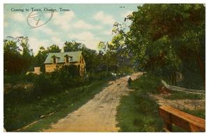 Primary view of object titled 'Coming to Town, Orange, Texas'.