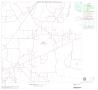 Map: 2000 Census County Block Map: Starr County, Block 10