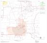 Map: 2000 Census County Block Map: Fannin County, Block 9