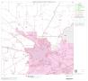 Map: 2000 Census County Block Map: Parker County, Block 13