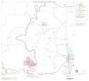 Map: 2000 Census County Block Map: Liberty County, Block 11