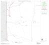 Map: 2000 Census County Block Map: Duval County, Block 10