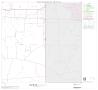 Thumbnail image of item number 1 in: '2000 Census County Block Map: Smith County, Block 23'.