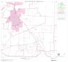 Map: 2000 Census County Block Map: Coleman County, Block 11