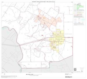 Primary view of object titled '2000 Census County Block Map: Waller County, Block 11'.