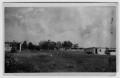 Photograph: [Chickens on an unidentified farm]