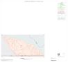 Map: 2000 Census County Block Map: Live Oak County, Inset D01