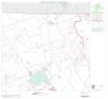 Map: 2000 Census County Block Map: Dimmit County, Block 2