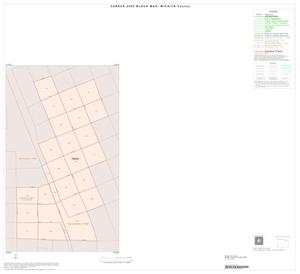 Primary view of object titled '2000 Census County Block Map: Wichita County, Inset A01'.
