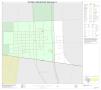Map: 2010 Census County Block Map: Willacy County, Inset H01