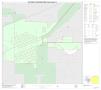 Map: 2010 Census County Block Map: Archer County, Inset A01