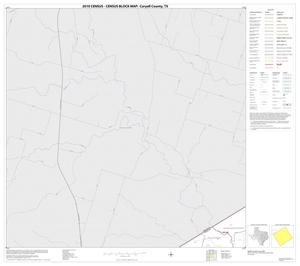 Primary view of 2010 Census County Block Map: Coryell County, Block 4