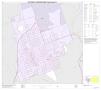 Thumbnail image of item number 1 in: '2010 Census County Block Map: Zavala County, Inset C01'.
