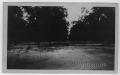 Thumbnail image of item number 1 in: '[Butterfield Pecan Orchard, Winona, TX]'.