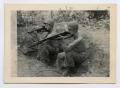Photograph: [Soldiers Aiming Rifles]
