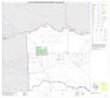 Map: P.L. 94-171 County Block Map (2010 Census): Titus County, Block 1