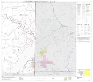 Primary view of object titled 'P.L. 94-171 County Block Map (2010 Census): Moore County, Block 12'.