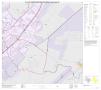 Primary view of P.L. 94-171 County Block Map (2010 Census): Hays County, Inset F03