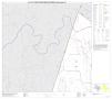 Primary view of P.L. 94-171 County Block Map (2010 Census): Hays County, Block 1