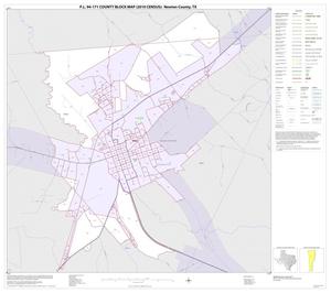 Primary view of object titled 'P.L. 94-171 County Block Map (2010 Census): Newton County, Inset C01'.