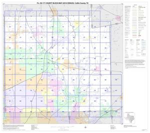 Primary view of object titled 'P.L. 94-171 County Block Map (2010 Census): Collin County, Index'.