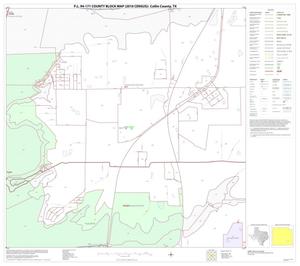 Primary view of object titled 'P.L. 94-171 County Block Map (2010 Census): Collin County, Block 78'.