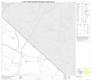 Primary view of object titled 'P.L. 94-171 County Block Map (2010 Census): Caldwell County, Block 12'.