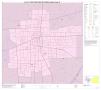 Primary view of P.L. 94-171 County Block Map (2010 Census): Hopkins County, Inset B01