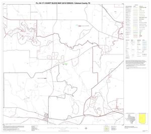 Primary view of object titled 'P.L. 94-171 County Block Map (2010 Census): Coleman County, Block 10'.